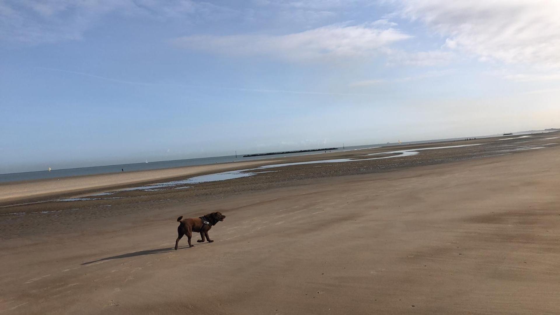Appartement Sur La De Malo Les Bains Vue Dunkirk